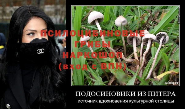 прущие крисы Белоозёрский