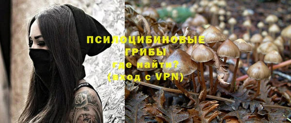 спиды Белокуриха