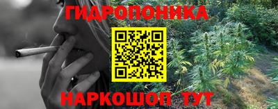 наркотики Гай