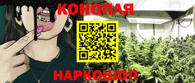 метадон Гатчина