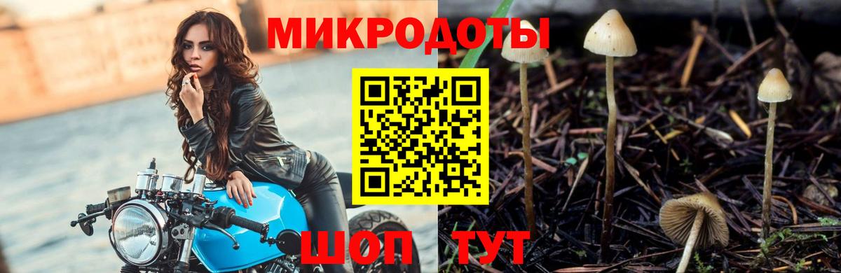 Луховицы  Псилоцибиновые грибы мухоморы  Вход с VPN  купить закладку  Галлюциногенные грибы мухоморы 