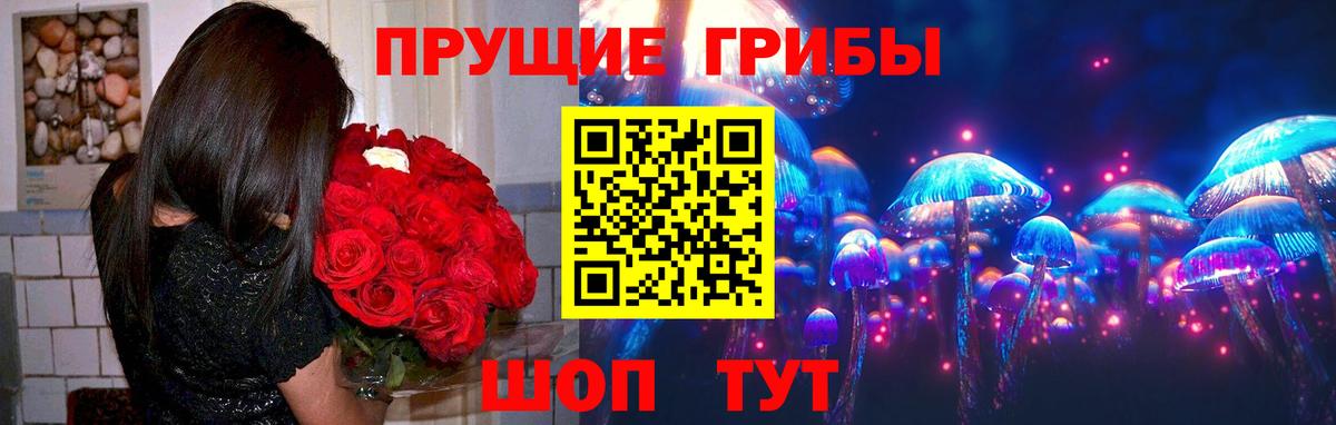 Галлюциногенные грибы Cubensis Луховицы